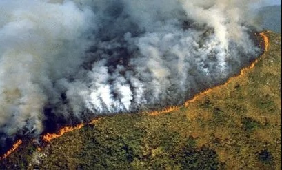 Estado emergencia declarado en regiones afectadas por fuegos en Perú