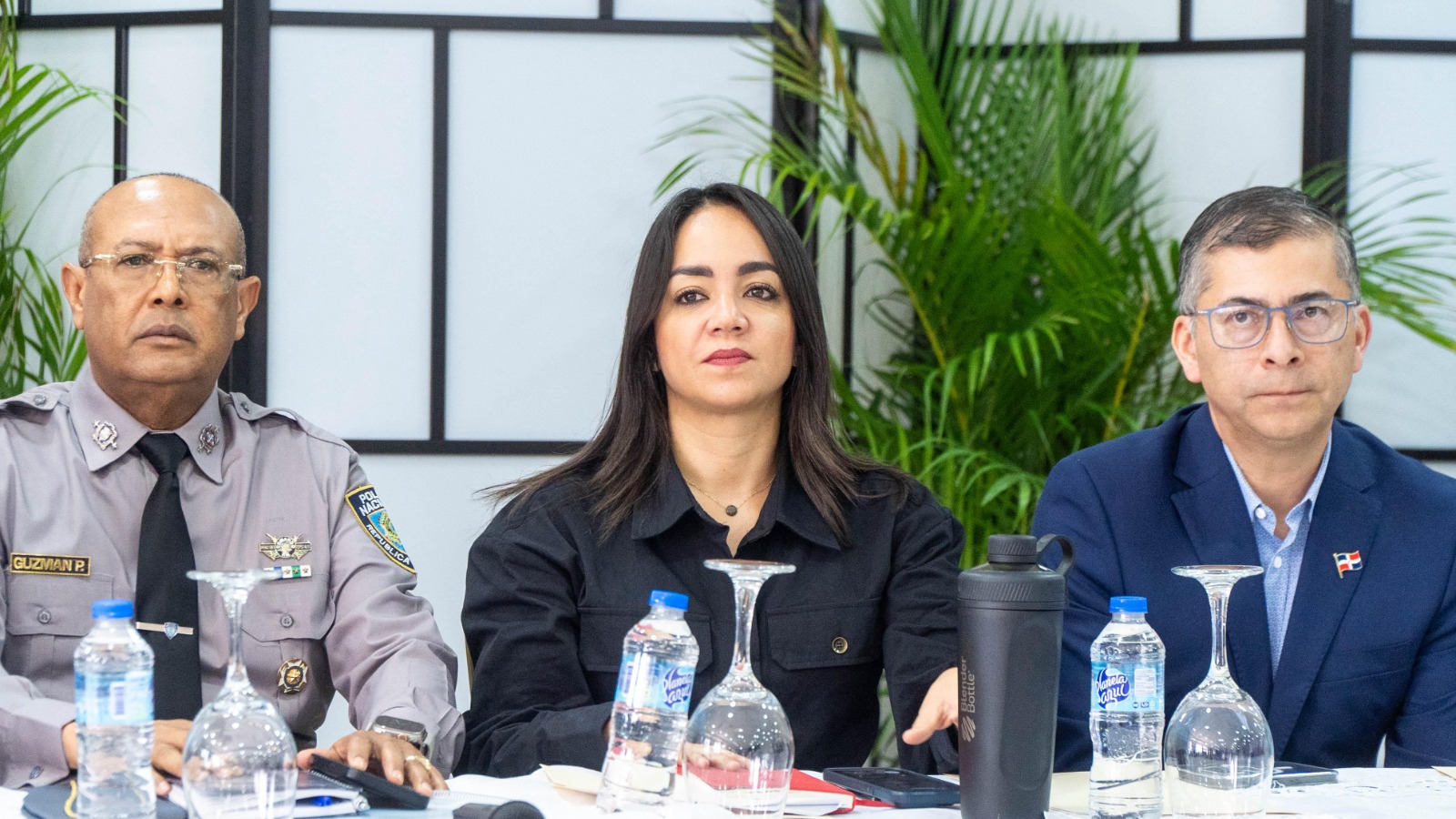 El patrimonio de Faride Raful supera los RD$25 millones