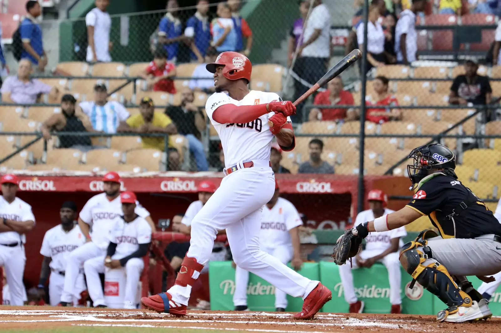 Escogido, con gran comienzo en el béisbol dominicano