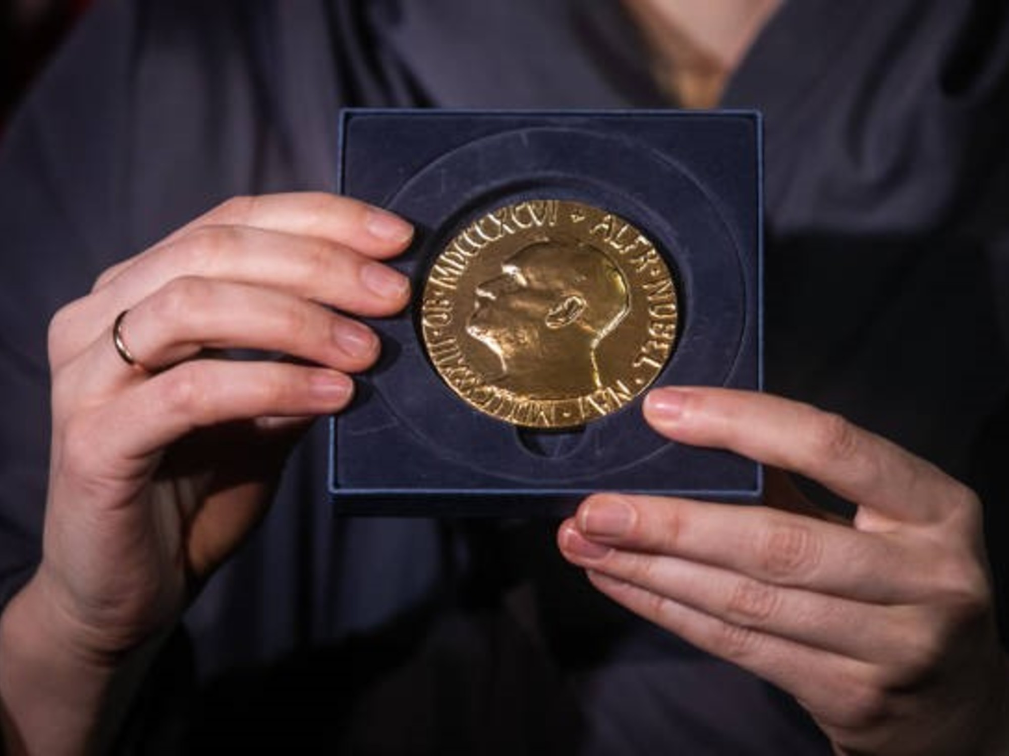 Este viernes habrá premio Nobel de la Paz por tiempos de guerra