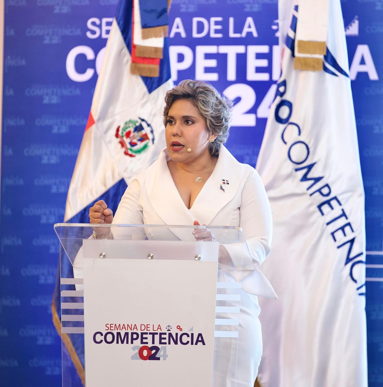 Presidenta Pro-Competencia anuncia este mes estará listo borrador proyecto de ley 42-08 sobre Defensa de la Competencia