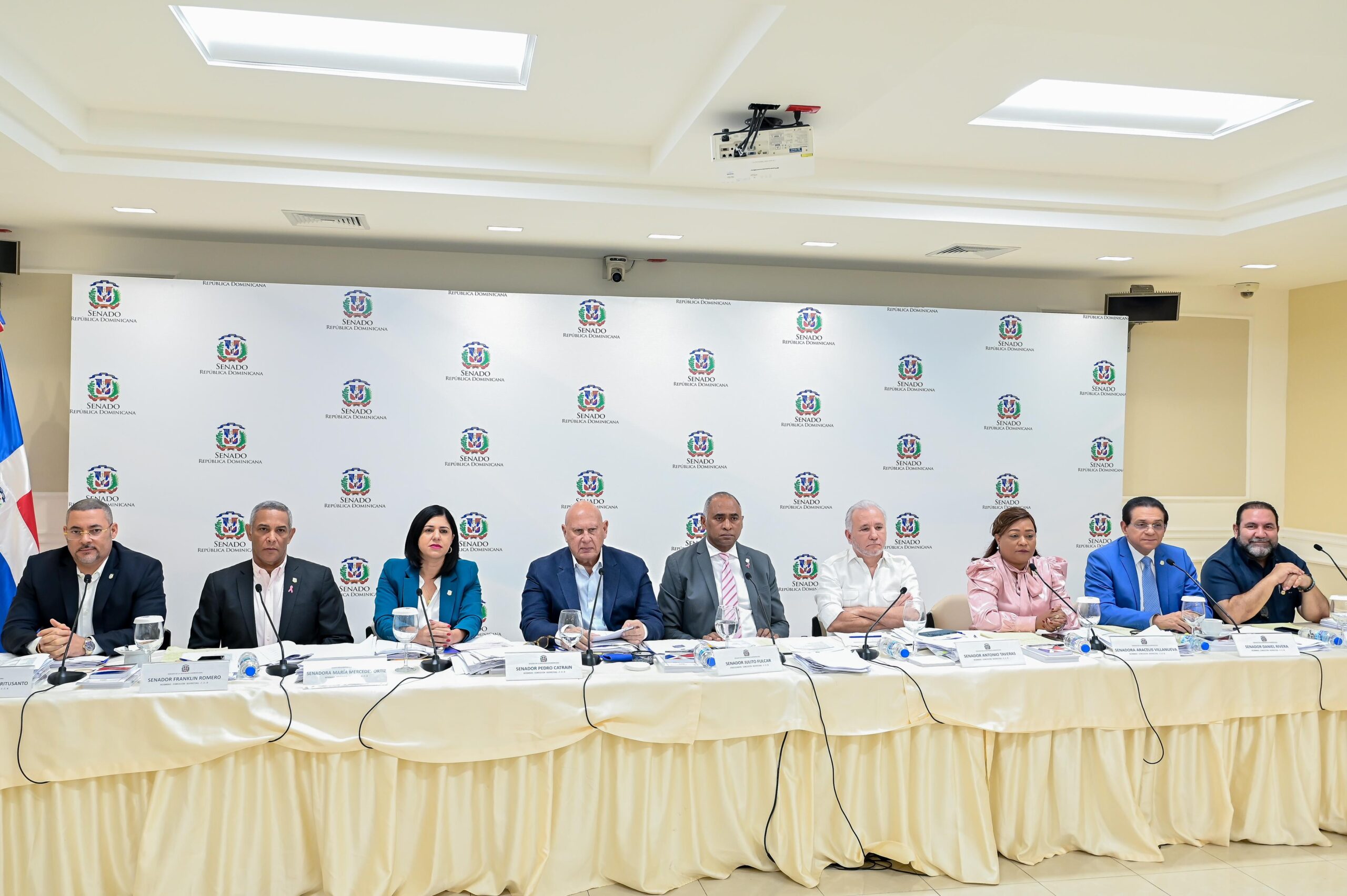 Comisión Especial de Senadores finaliza entrevistas aspirantes a integrar JCE