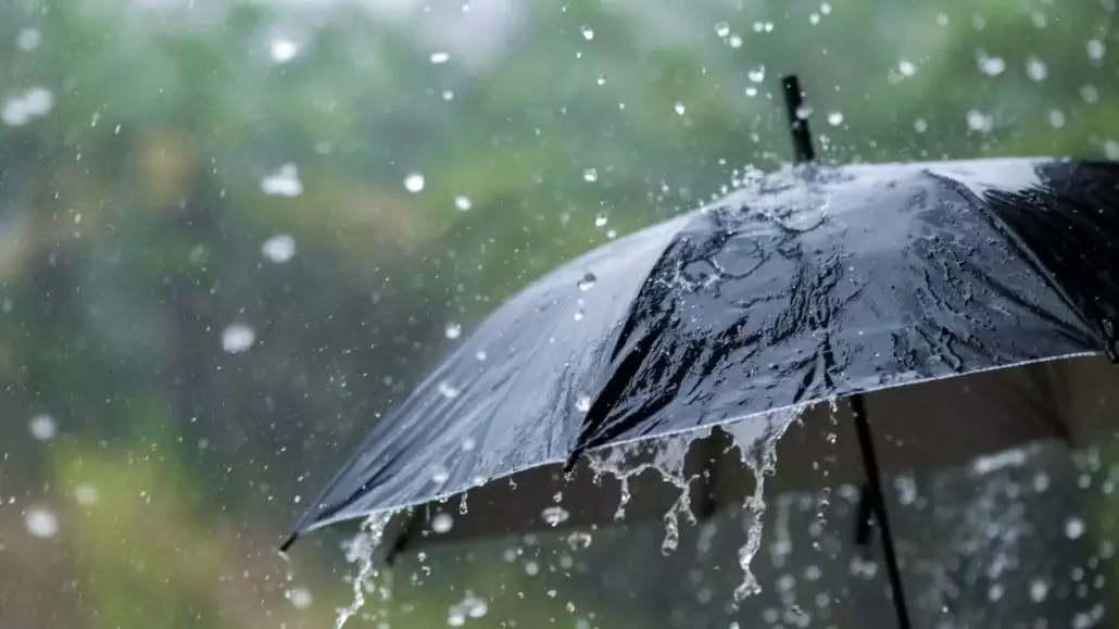 Indomet: vaguada asociada a una baja presión produce lluvias locales en varias provincias