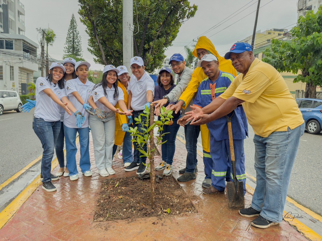 Alcaldía del DN continúa su Plan de Arbolado en Santo Domingo
