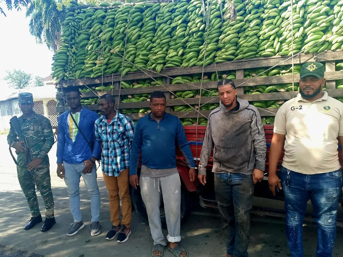 Detienen dominicanos ocultaban dos haitianos en camión de guineos verdes
