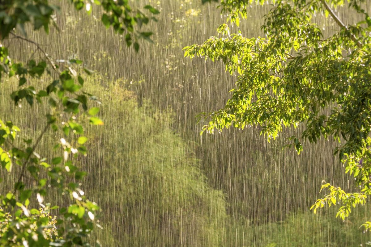 Indomet: Chubascos y temperaturas calurosas para este sábado