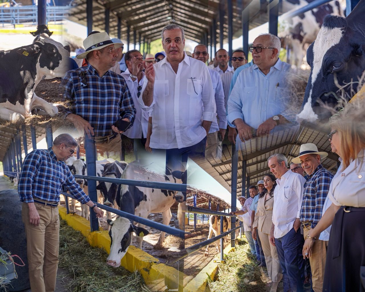 Presidente Luis Abinader y Ministro de Agricultura Limber Cruz visitan el Centro Genético Ysura en D1 Ganadero, Azúa.