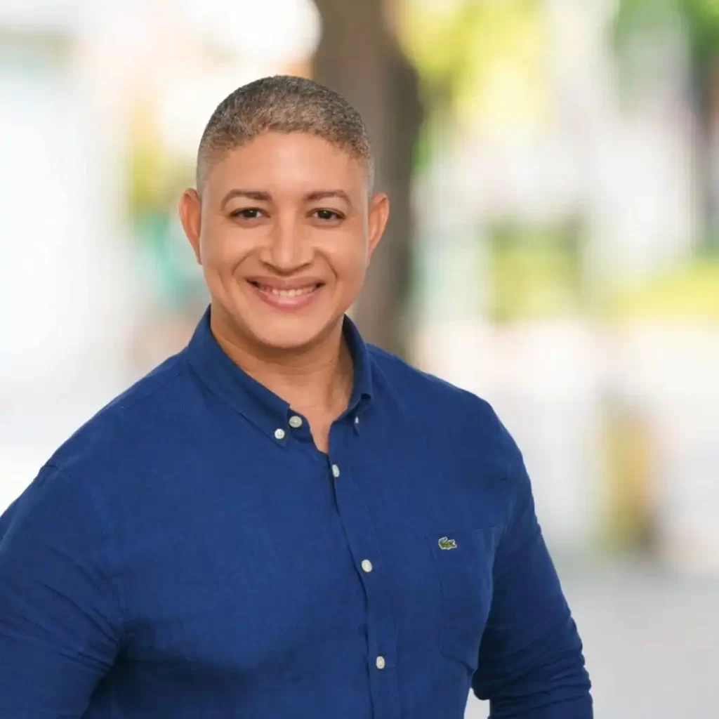 El PLD 2028 como el PRD 2016                          Por: Pedro René Almonte M.