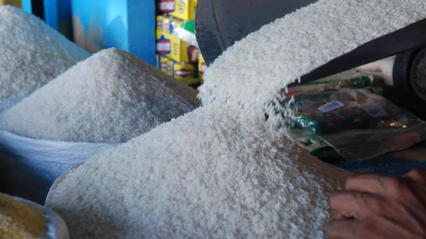 Fuerza del Pueblo exige detener importaciones de arroz para proteger producción local