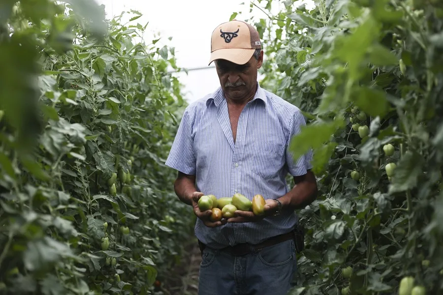 La inflación alimentaria desafía los logros de América Latina contra el hambre, alerta la FAO