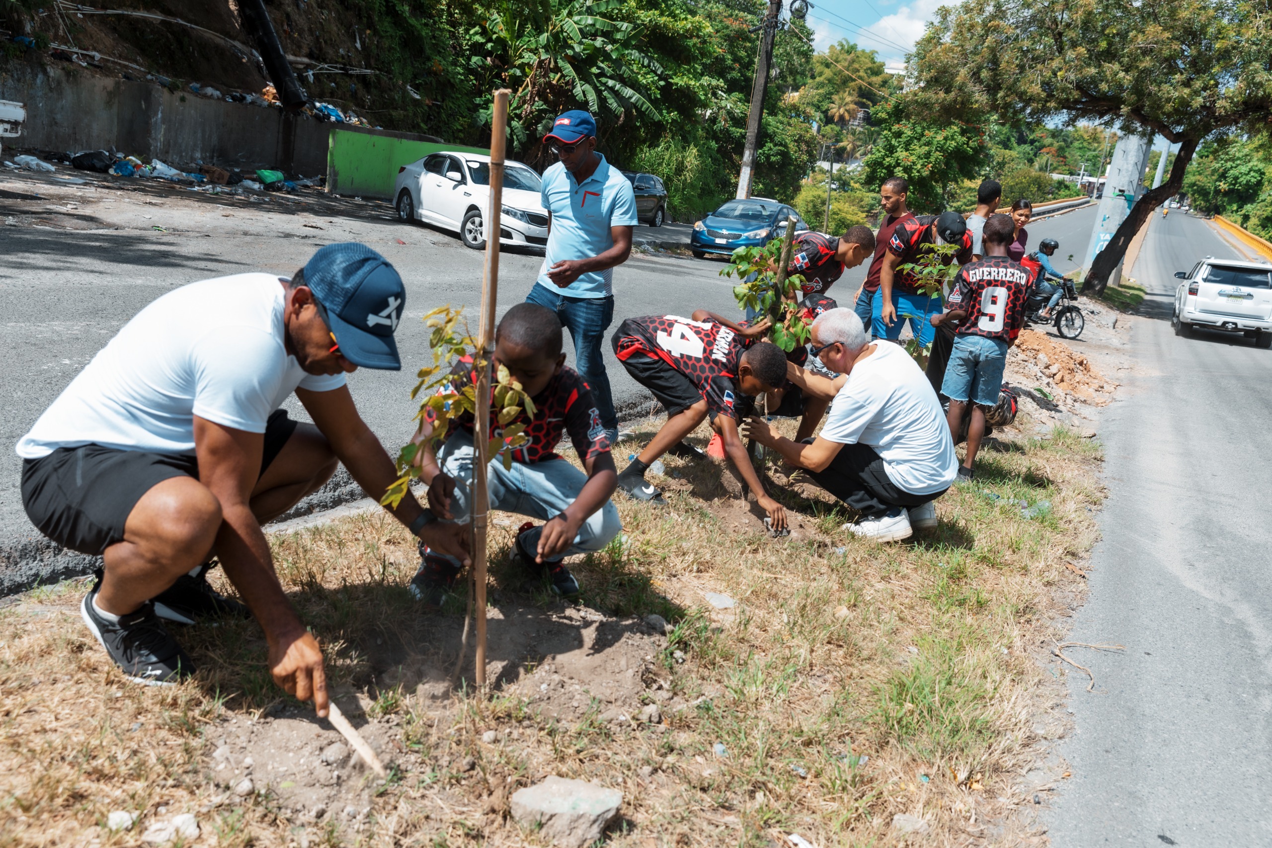 Alcaldía del DN y Fundación Renacer plantan 150 árboles en avenida Paseo de los Reyes Católicos