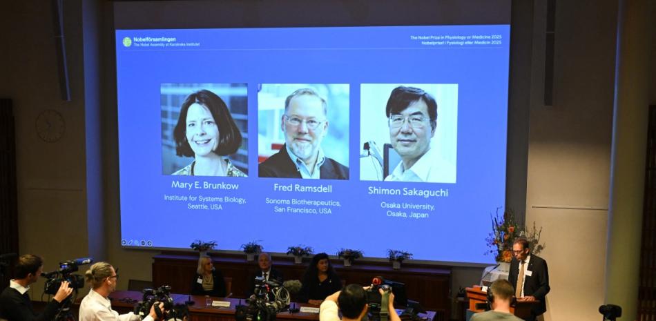 Brunkow, Ramsdell y Sakaguchi reciben el Nobel de Medicina por redefinir la tolerancia inmunológica
