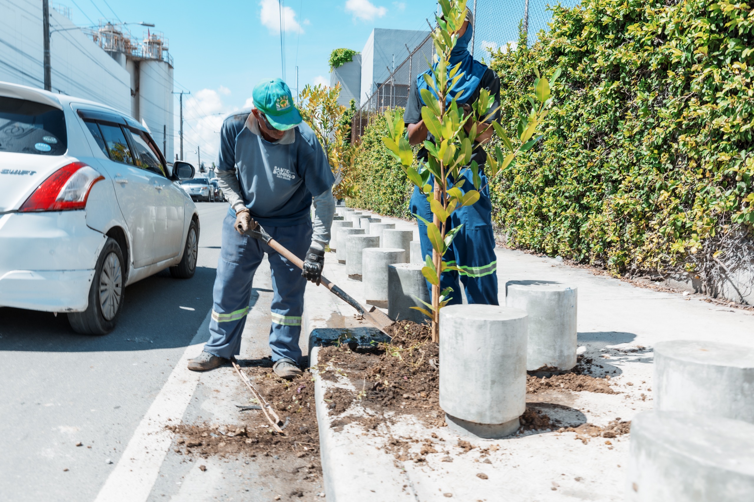 Alcaldía del DN repone árboles que resultaron afectados por lluvias de Melissa.