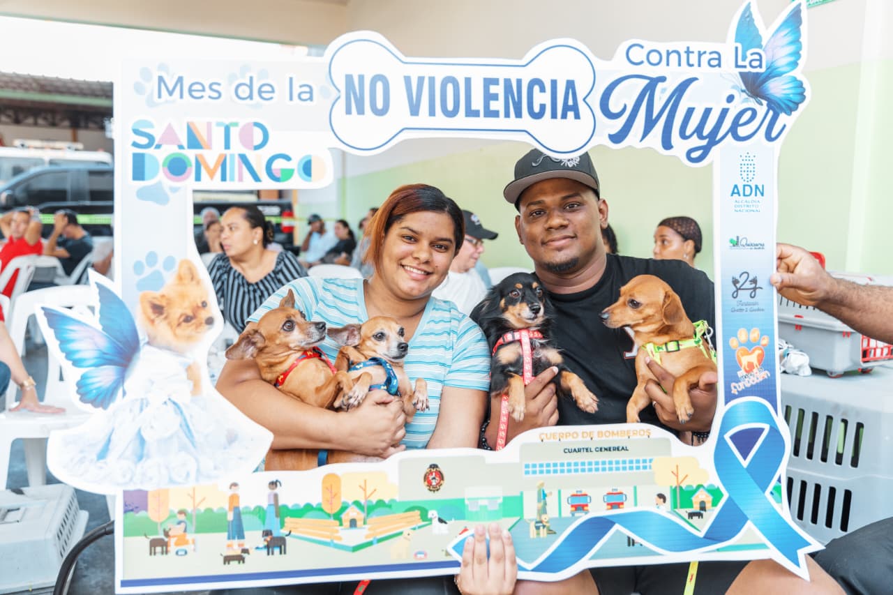 Alcaldía del DN realiza jornada gratuita de esterilización y vacunación de perros y gatos.