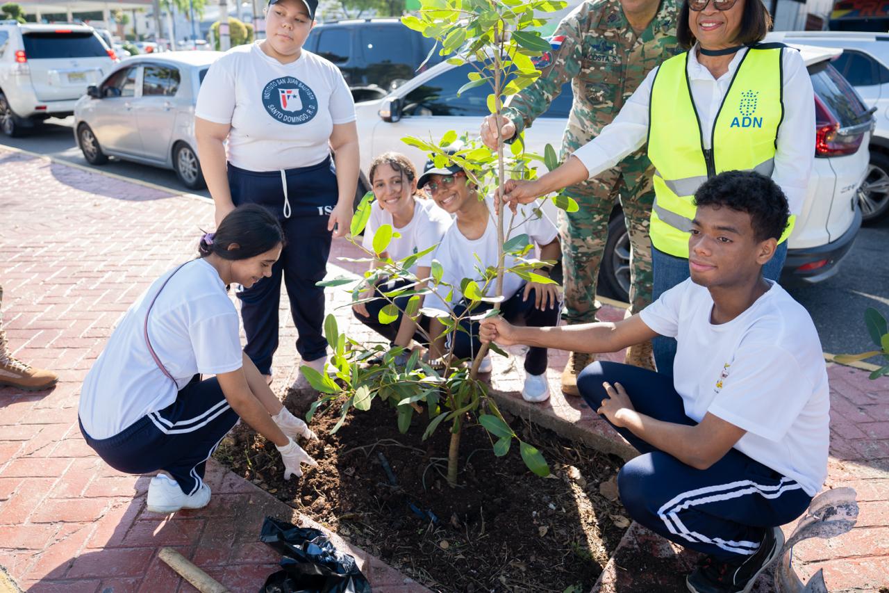 Alcaldía del DN continúa Plan de Arbolado Urbano con plantación de 150 árboles en la Rómulo Betancourt.