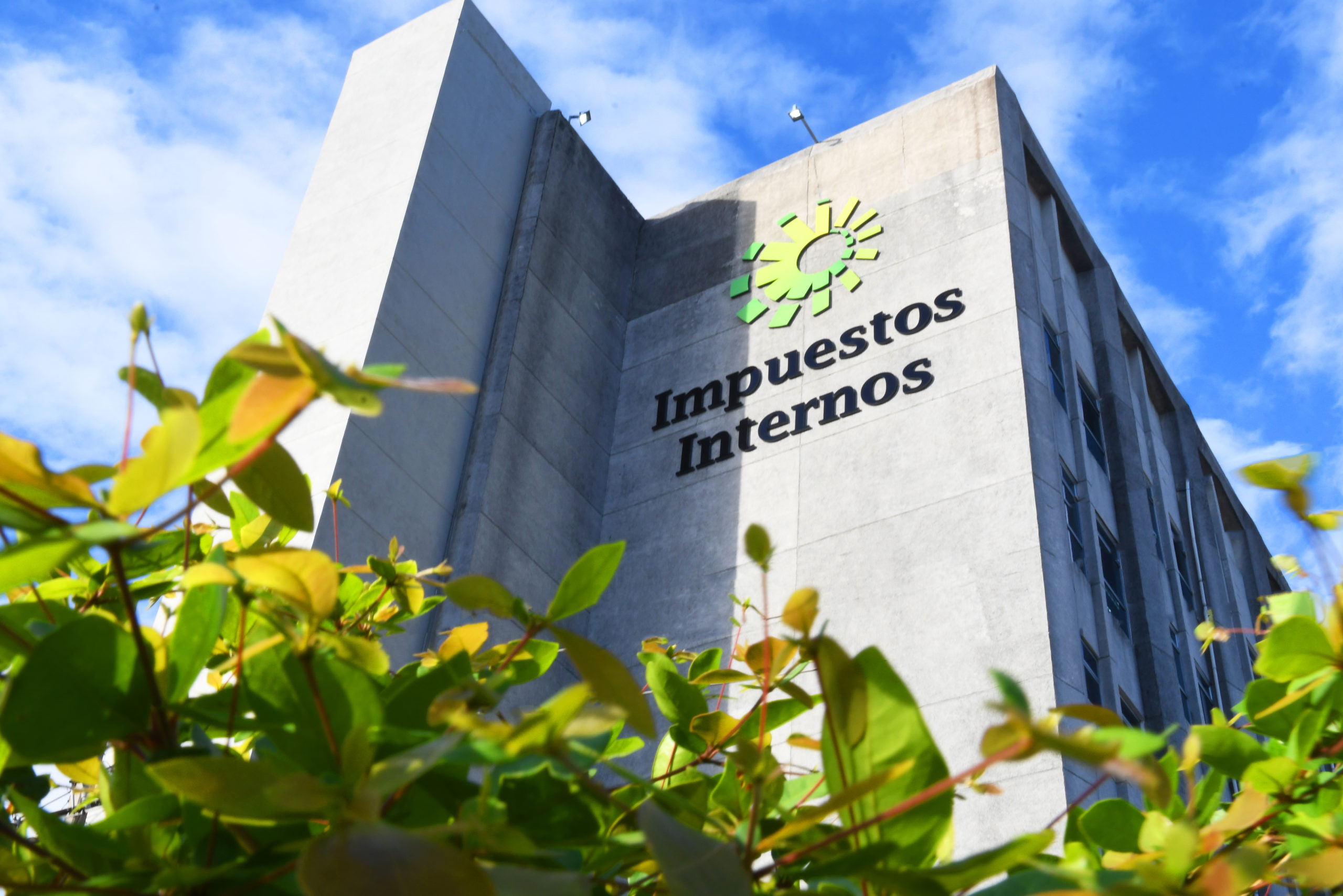 DGII reporta más de 1.5 millones de marbetes renovados