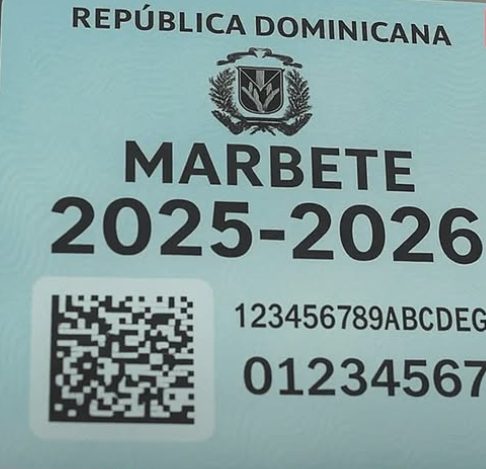 Más de 1.4 millones de vehículos aún no han renovado el marbete 2025-2026