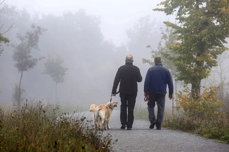 La mitad de los españoles mayores de 40 años sufre disfunción eréctil