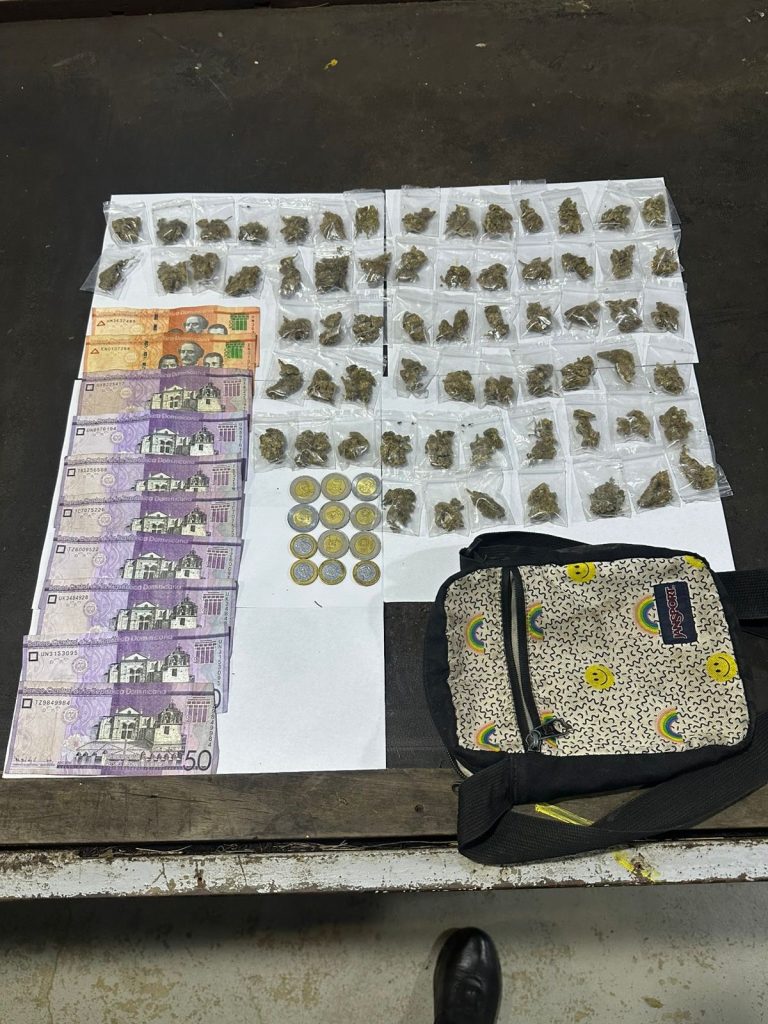 Operativos simultáneos dejan dos detenidos y ocupación de más de 490 porciones de sustancias controladas en Santiago