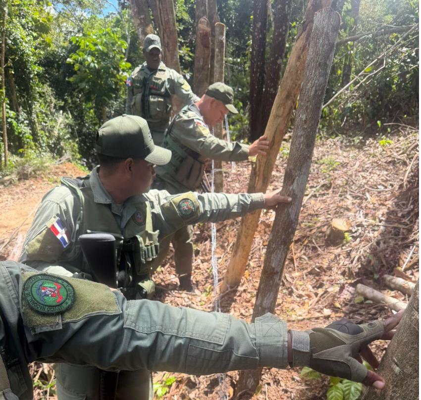 Autoridades desmantelan parcelas ilegales en la Loma de Managua, Bayaguana