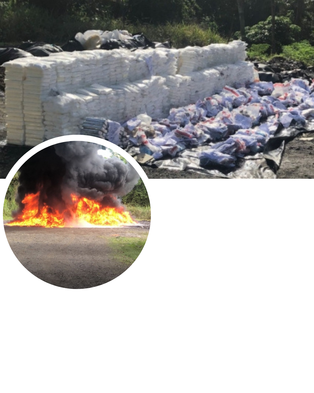 Inacif incinera más de dos toneladas de drogas en operativo nacional