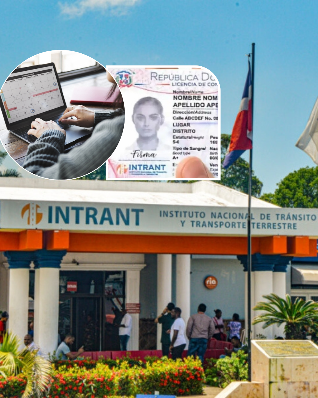 INTRANT habilita citas en línea para tramitar la nueva licencia de conducir