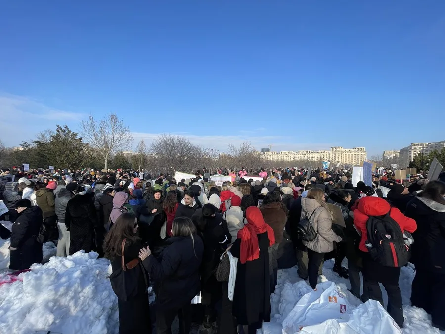 Escándalo en Rumanía: 15.000 perros sacrificados revelan crueldad en perreras