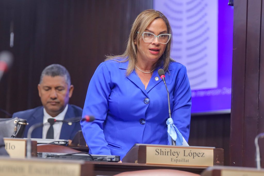 Diputada Shirley López destaca gestión de Abinader y del Ministro Administrativo tras inundaciones en Gaspar Hernández
