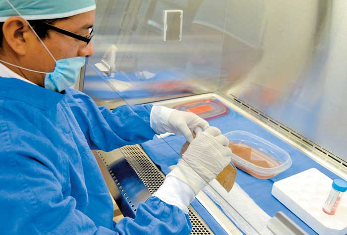 Salud Pública e Incort trabajan en creación de banco de piel y tejidos humanos