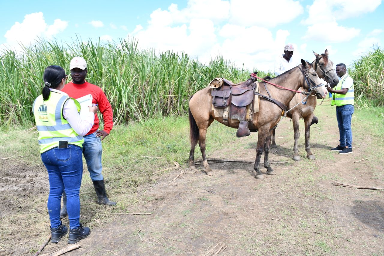 República Dominicana ejecuta la más grande y efectiva ofensiva de erradicación del Trabajo Infantil