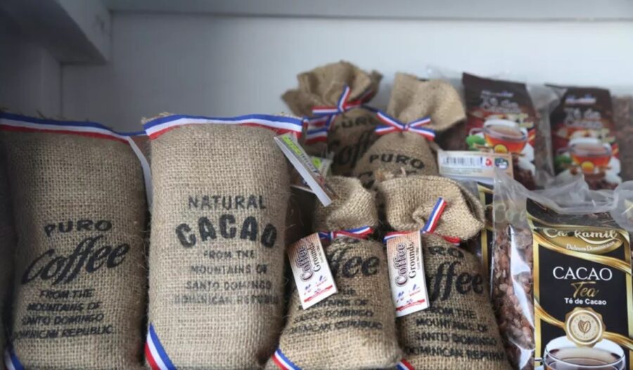 Precio del cacao cae hasta un 60% en República Dominicana y afecta a más de 40 mil productores