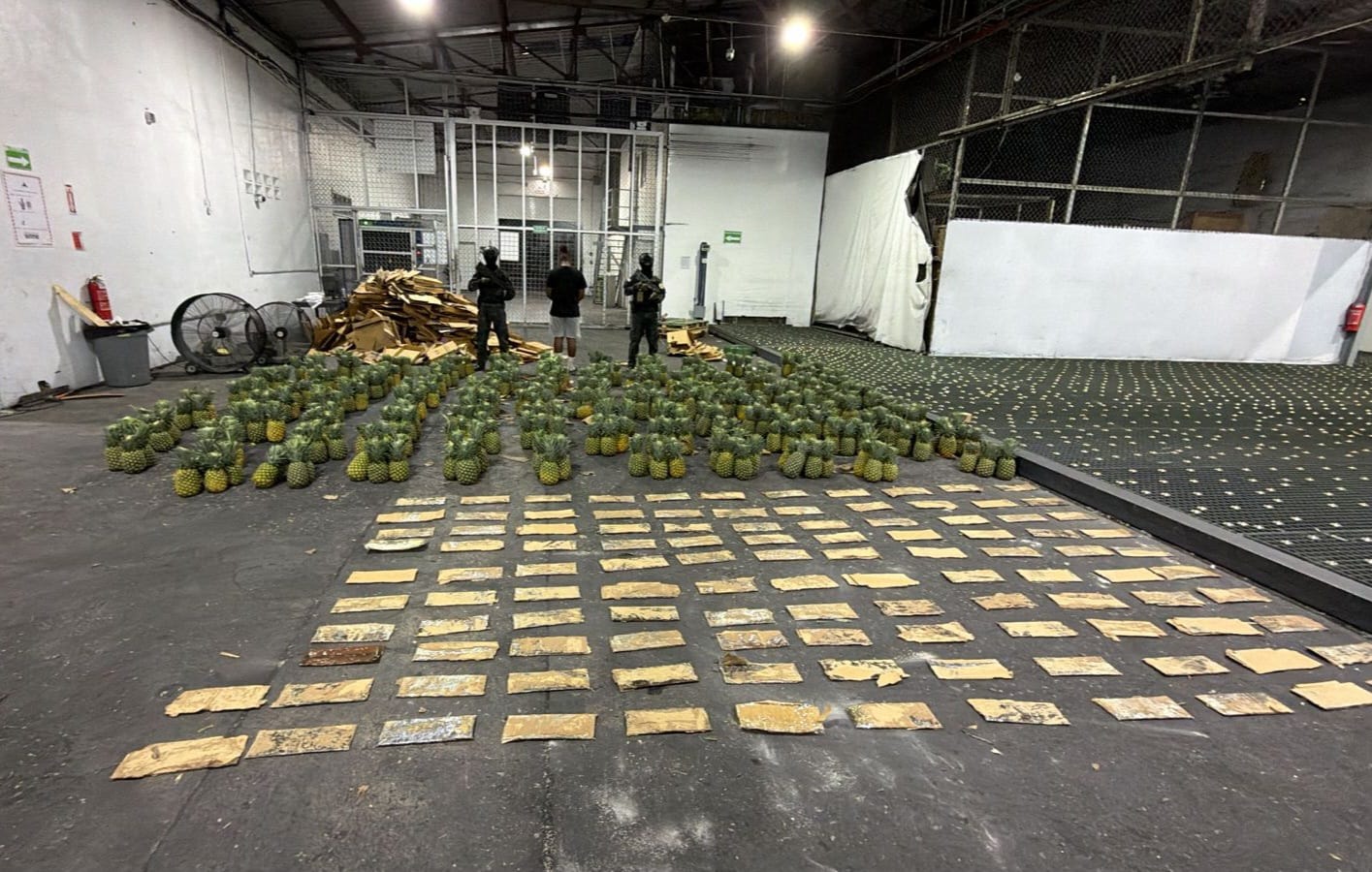 Descubren más de 31 kilos de cocaína ocultos en cargamento de piñas en el AILA
