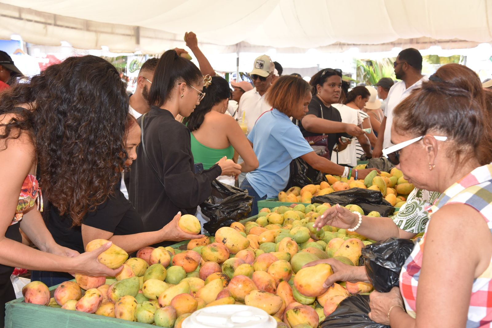 Expo Mango 2026 consolida su impacto en negocios, ventas, cultura y proyección internacional