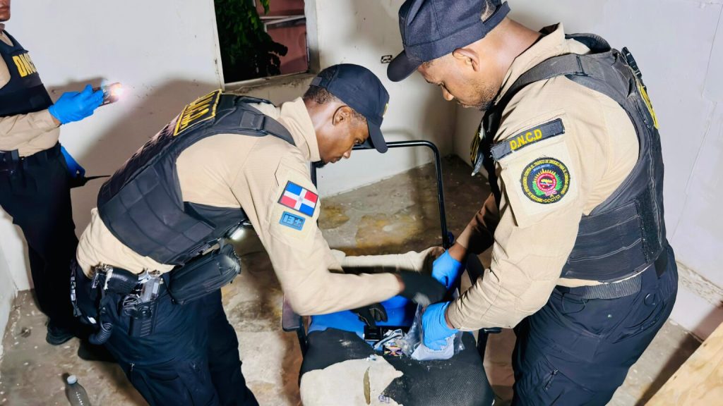 Nueve detenidos y miles de gramos de drogas incautados durante allanamientos en SDO