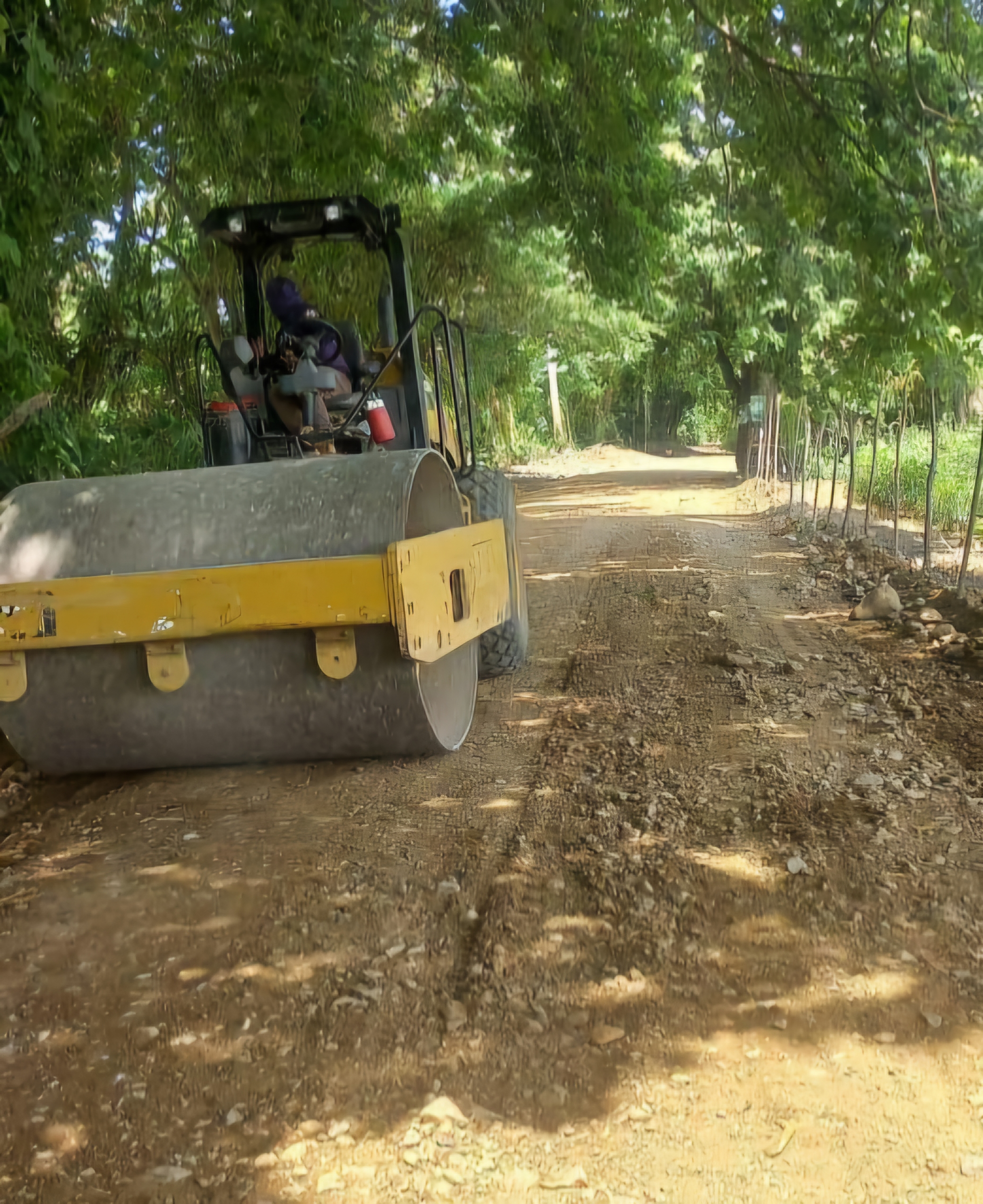 Agricultura interviene 300 kilómetros de caminos de penetración para fortalecer la producción