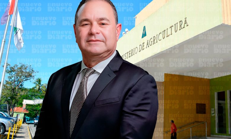 Agricultura y sector arrocero activan estrategia nacional para enfrentar el chinche de la espiga