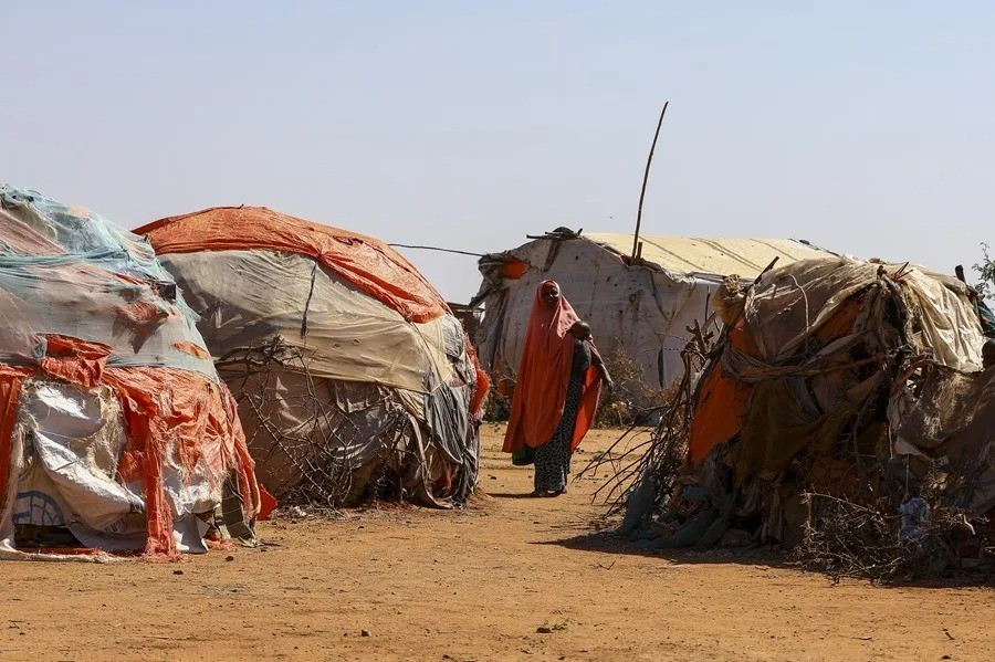 El hambre persiste: ONU advierte que 645 millones de personas la enfrentan en el mundo