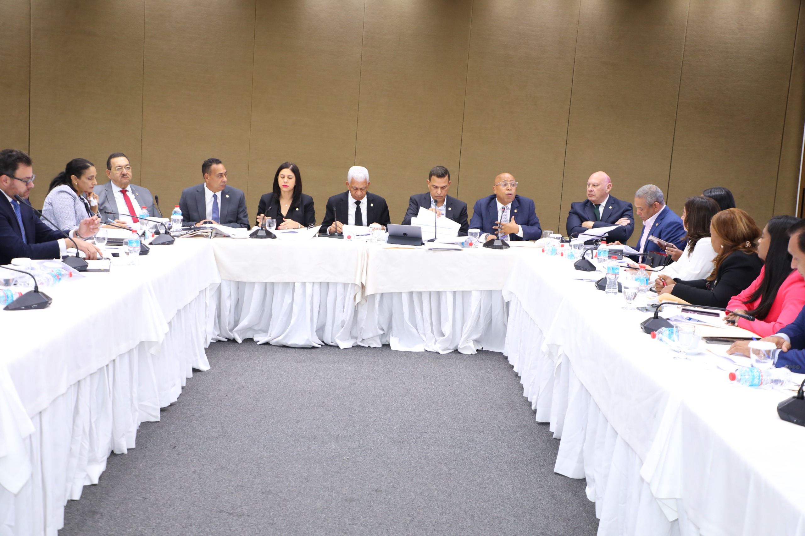 Comisión Bicameral que estudia modificaciones al Código Penal avanza en segundo día de trabajo