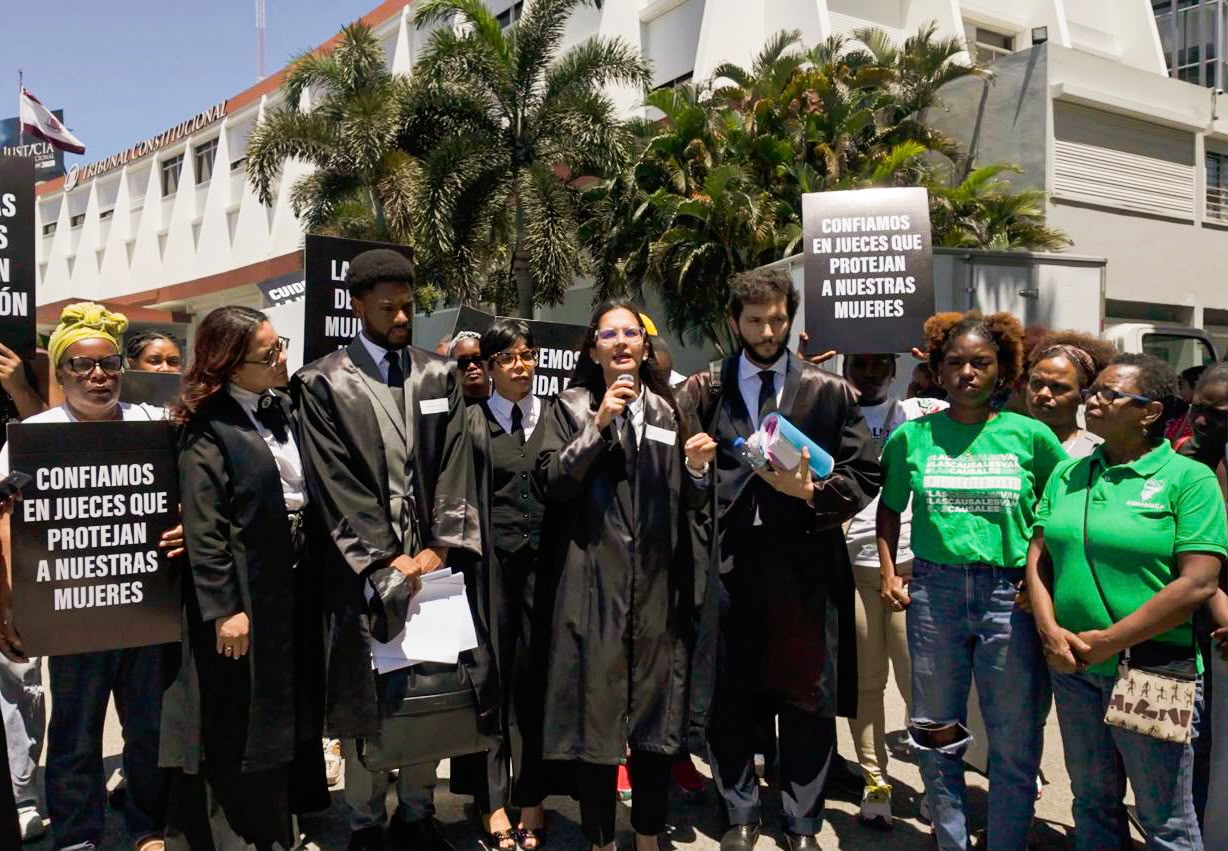 Accionantes ante el TC afirman tres causales son compatibles con la Constitución
