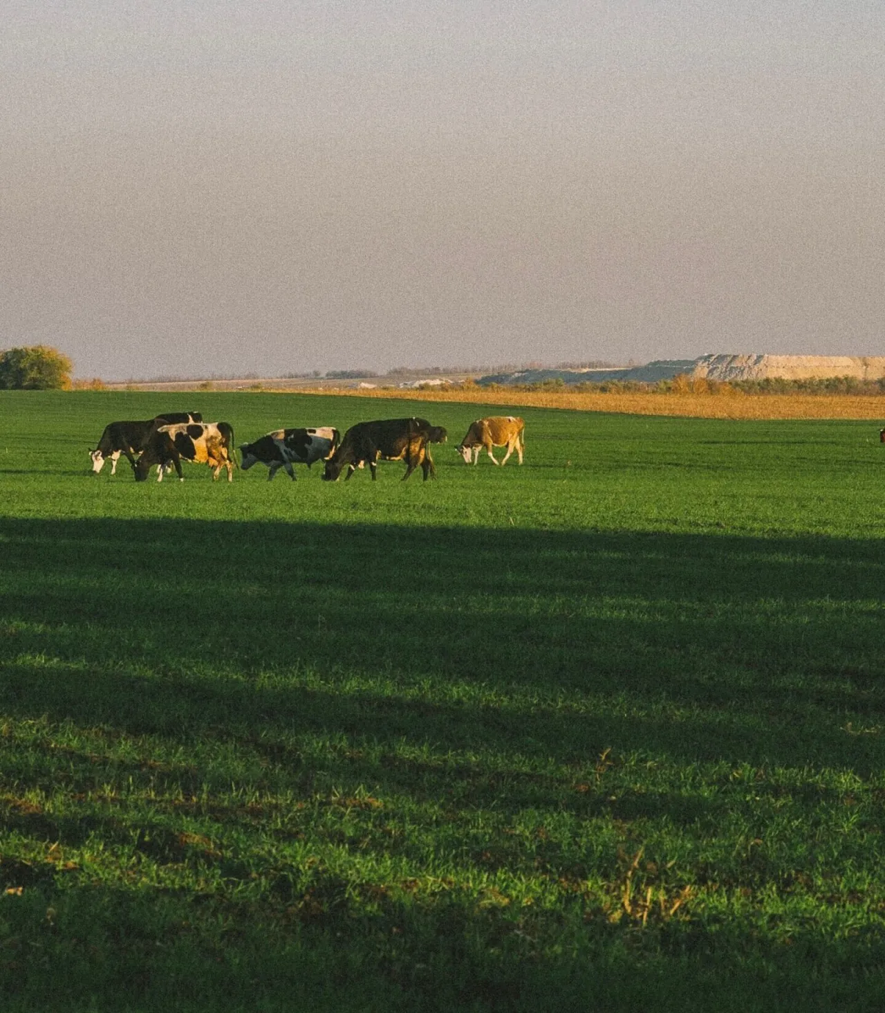 Gobierno destina US$120 millones para impulsar crédito y asistencia técnica al sector agropecuario