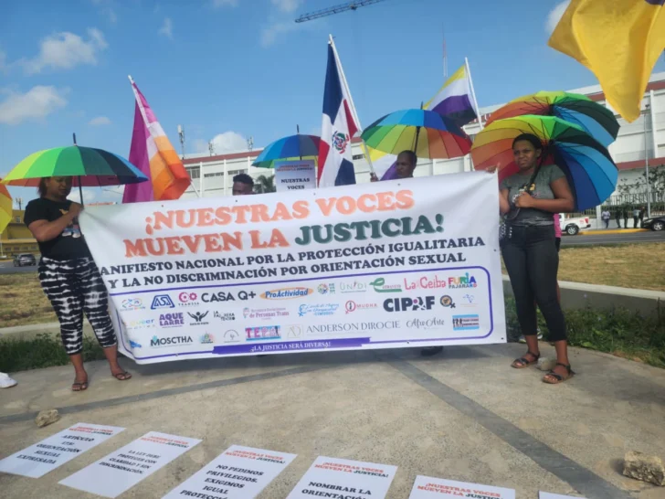 Organizaciones civiles llevan al Tribunal Constitucional reclamo por exclusión de orientación sexual
