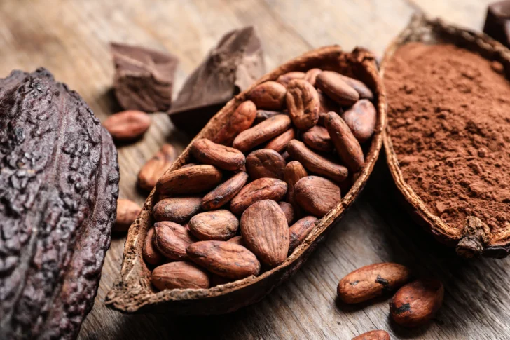 Cacao orgánico concentra más de la mitad de la producción nacional en RD