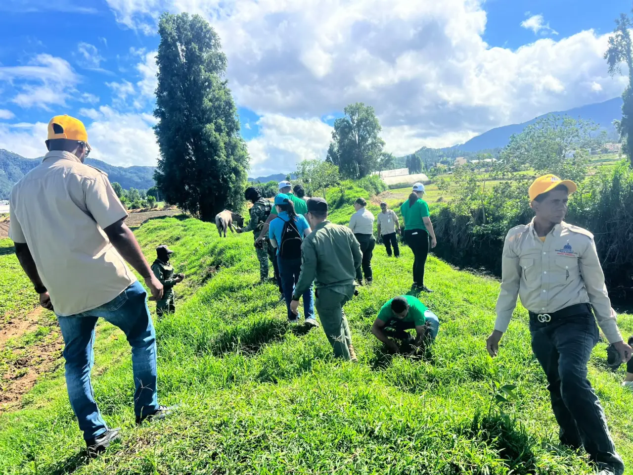 Medio Ambiente inicia Mes de la Reforestación con más de 14 mil árboles plantados
