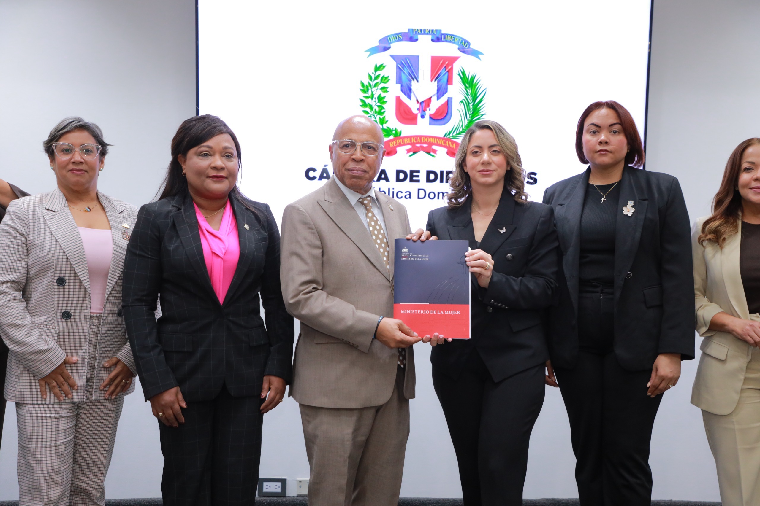 Cámara de Diputados recibe proyecto de ley Mirabal para enfrentar la violencia contra las mujeres